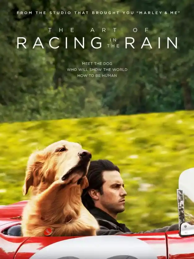 Scene from The Art of Racing in the Rain (2019) featuring Denny Swift with his dog Enzo at a race track.